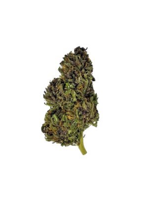 Fleur de Blue Diesel