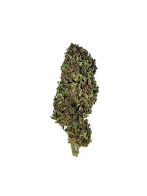 Fleur de Lemon Cookie Purple