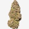 Fleur de Blue Diesel