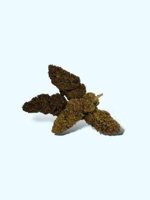 Fleur de Blue Diesel