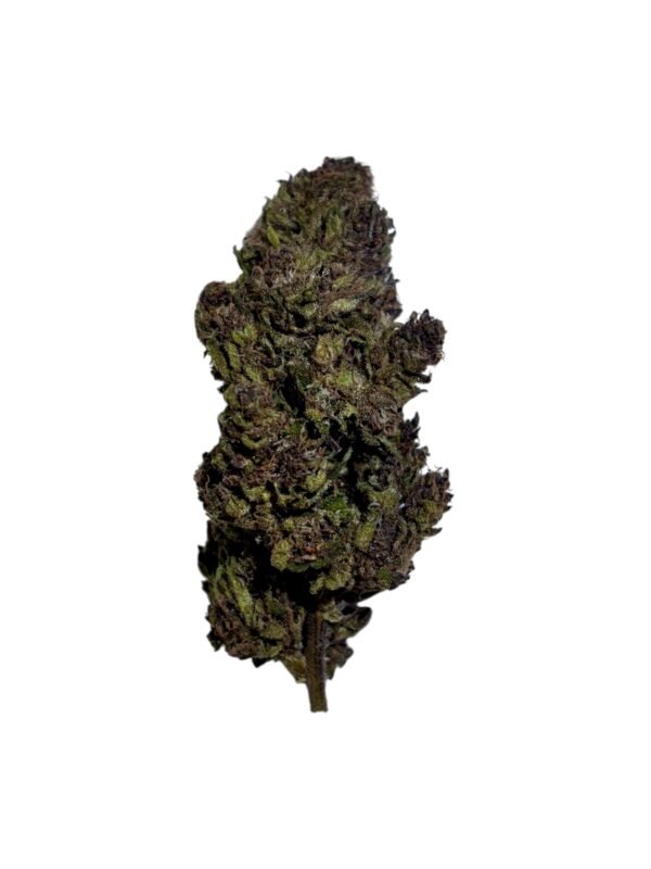 ABACUS Fleur d'Abacus