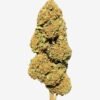 Photoroom_20260408_092634 Fleur de Cassis Kush