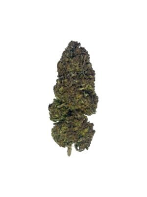 fleur blue dynamite Fleur de Blue Dynamite